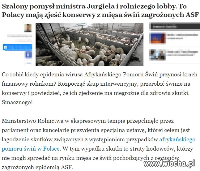 Ci co piszą do mnie i cały czas kwiczą jak świnie
