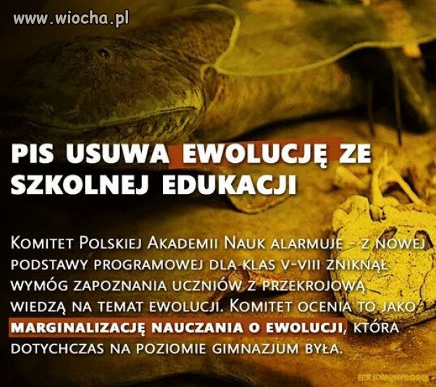 A po co obywatelom edukacja? Wystarczy wiara