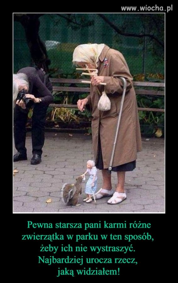 To tak jak Jarosław, wysługuje się marionetkami