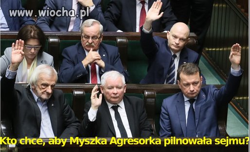 Myszka-agresorka.