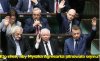 Myszka-agresorka.