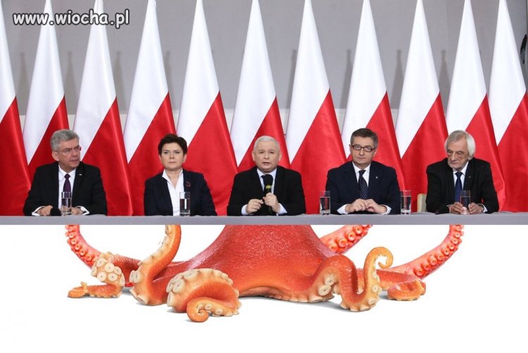 Struktura władzy 