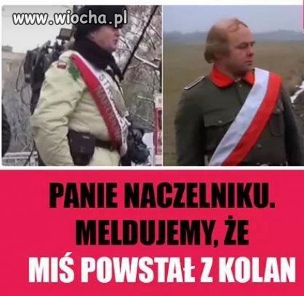 W sumie to jaki naczelnik