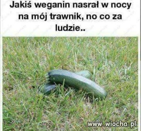 I bądź tu spokojny 
