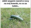 I bądź tu spokojny 