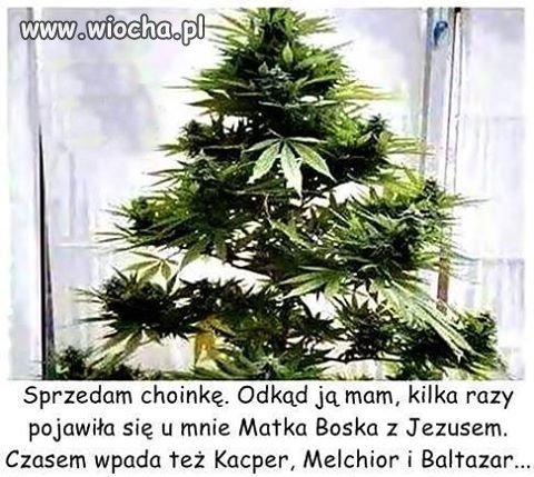 Bo mnie