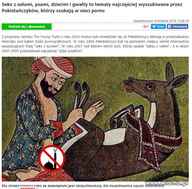 Kto nie szuka