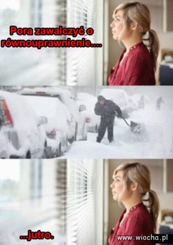 Równouprawnienie.