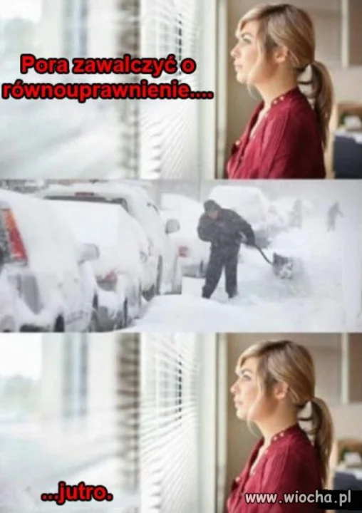 Równouprawnienie.
