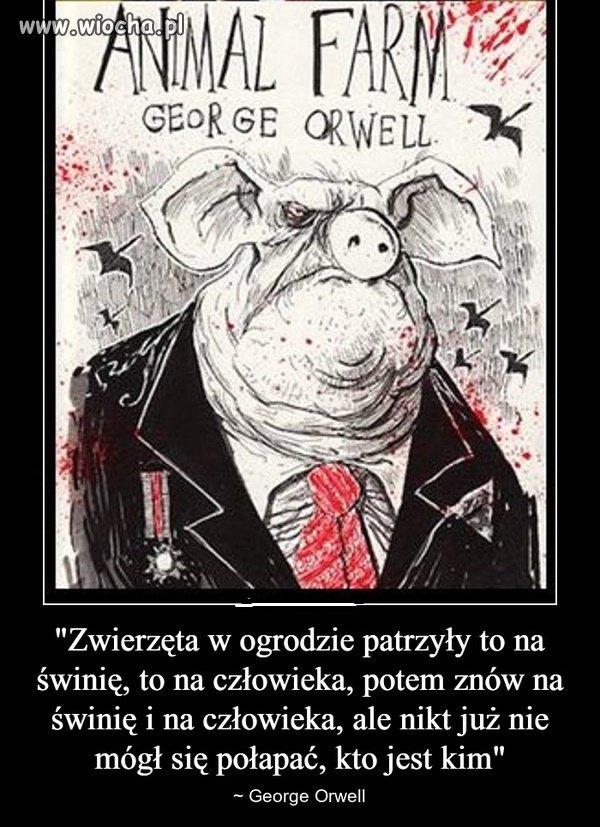Folwark zwierzęcy.
