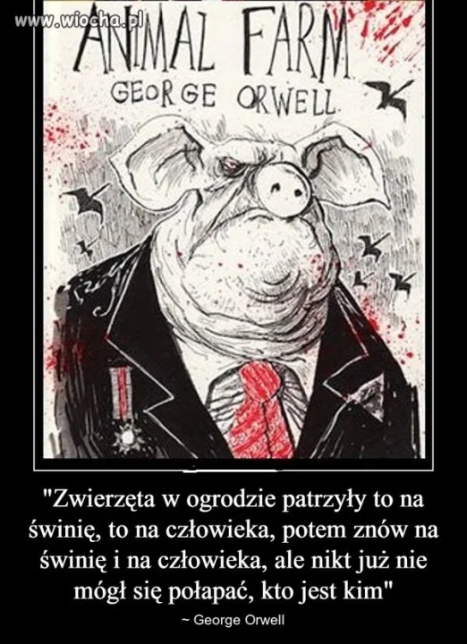 Folwark zwierzęcy.