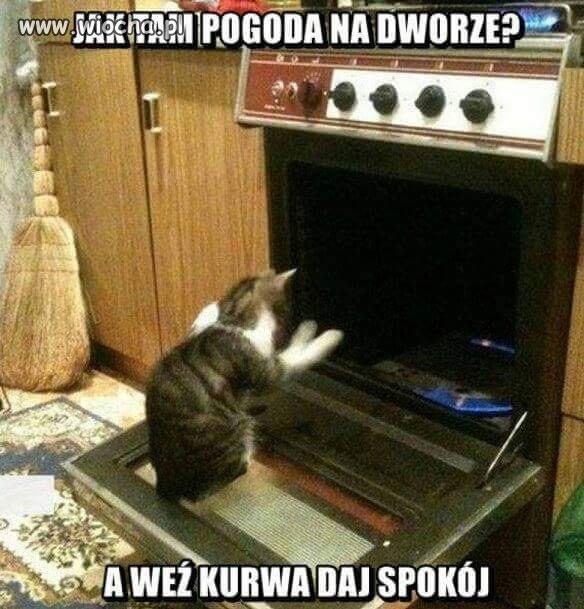 A jaka u Was