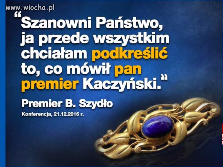 Bo są szefowie