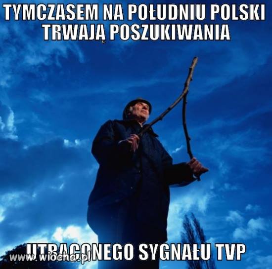 Szukają