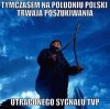 Szukają