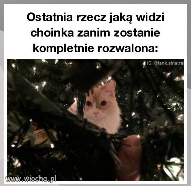 To spojrzenie mówi wszystko