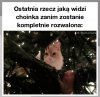 To spojrzenie mówi wszystko