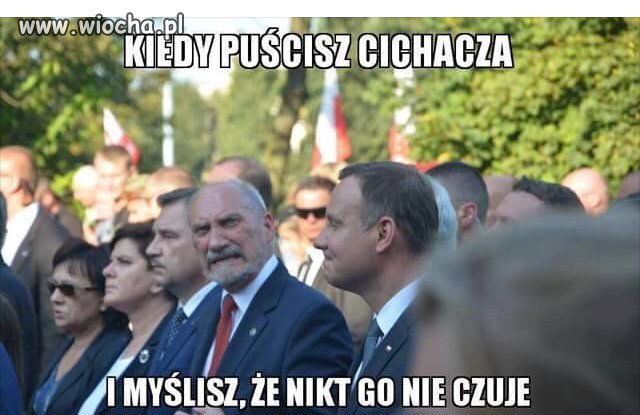 Cichacz