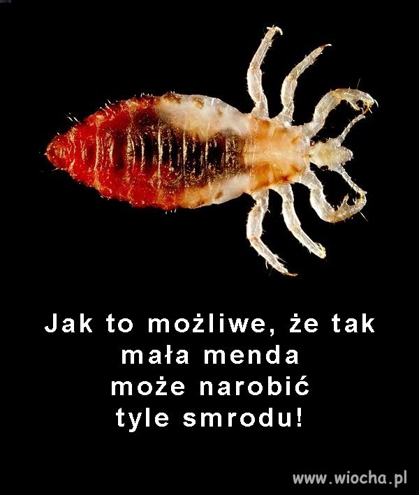 Przyrodnicze zagadki