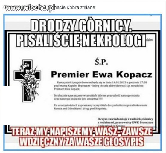 Głosowali na pis...pis im teraz podziękował...
