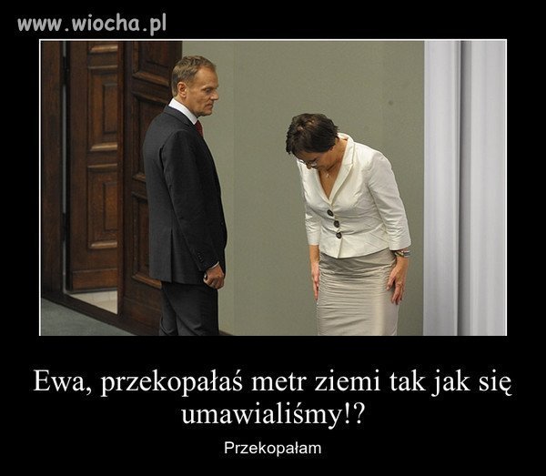Są wyniki ekshumacji. W grobie Piotra Nurowskiego pochowano inną osobę