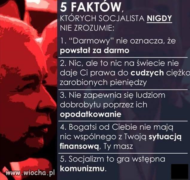 Fakty,