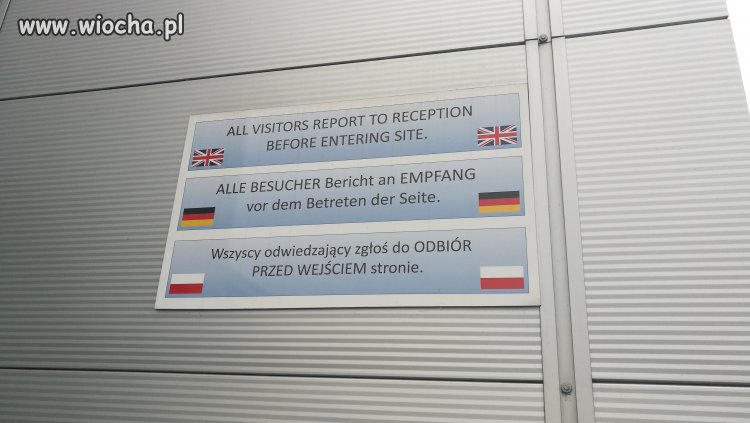 Język polska