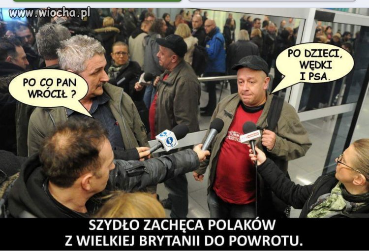 Polacy wracają z Wielkiej Brytanii 