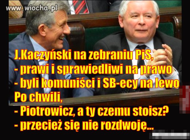 Dla P honorowe wyjście:złożyć mandat