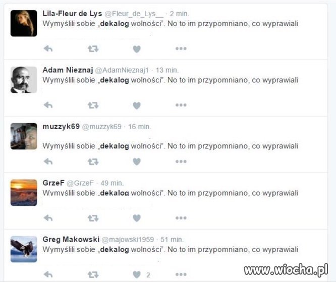 Trolle szefenakera w akcji na tt