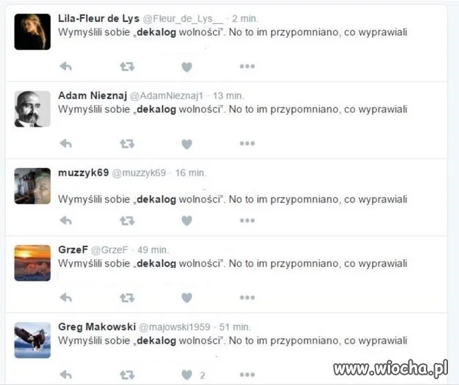 Trolle szefenakera w akcji na tt