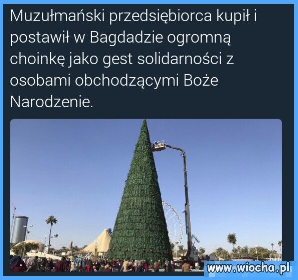 Sam nie wiem co o tym myśleć