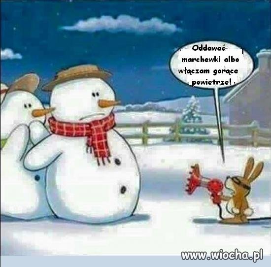 Marchewki