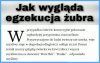 Szyszki pomysł na kasę dla 500+