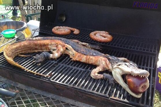 Na grillu u wujka Sama 