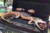Na grillu u wujka Sama 