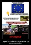 No właśnie ile?