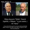 Ofiara donosów 