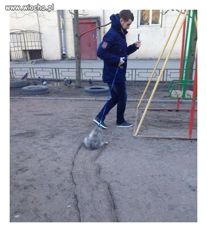 Z kotkiem na spacerze