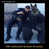 Dystans do pracy