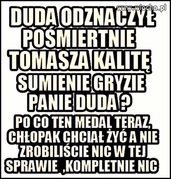 Albo gryzie