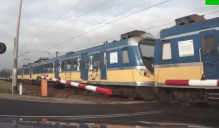 Z cyklu
