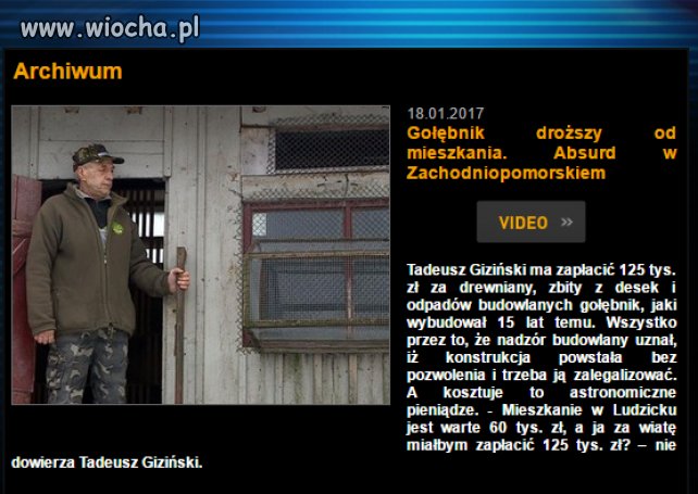 Gołębie salony