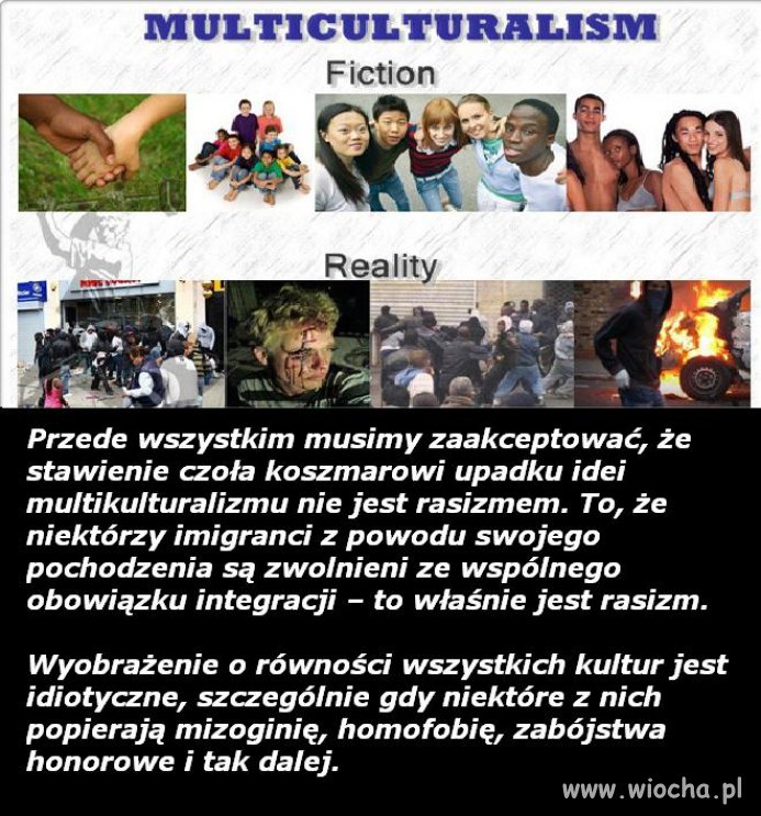 Multikulti... Utopijna idea bez przełożenia