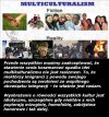 Multikulti... Utopijna idea bez przełożenia