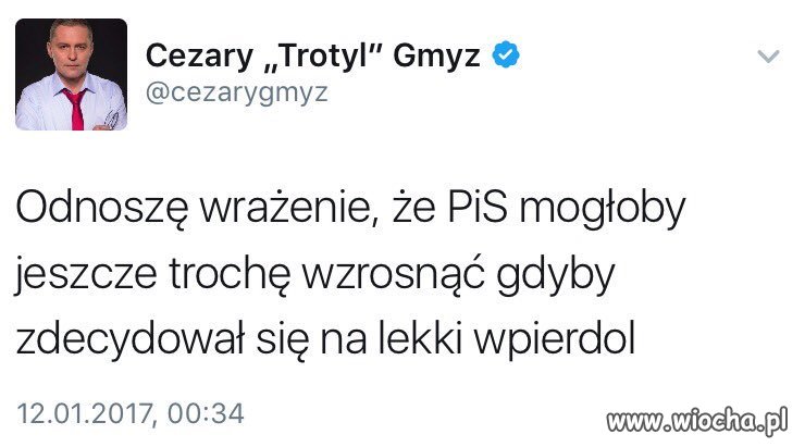 Korespondent TVP