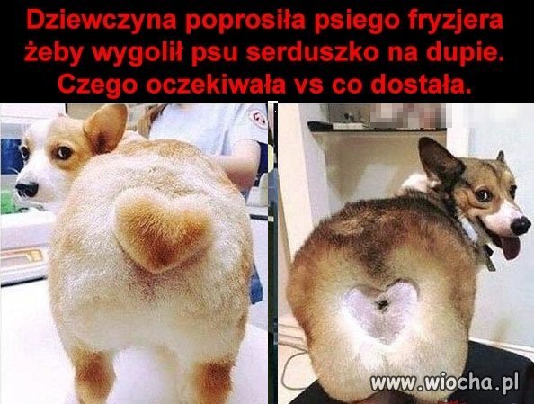 Lekkie nieporozumienie