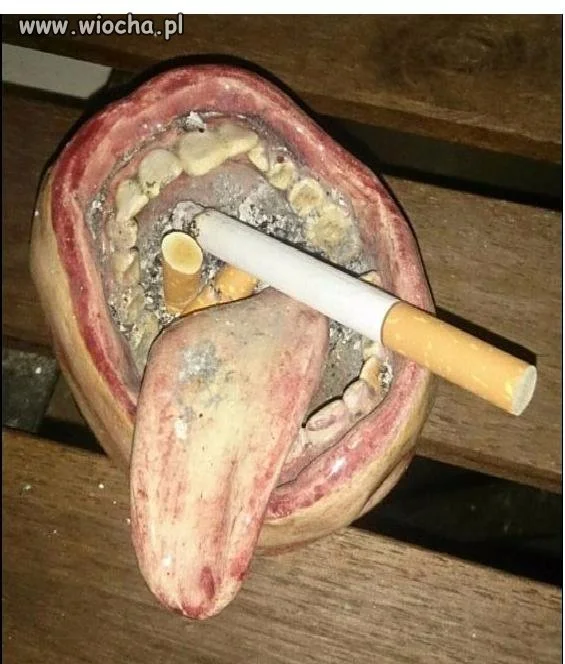 Jak się Wam podoba?