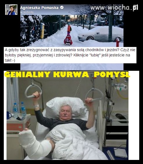 POsłanki  i ich pomysły na Polskę.