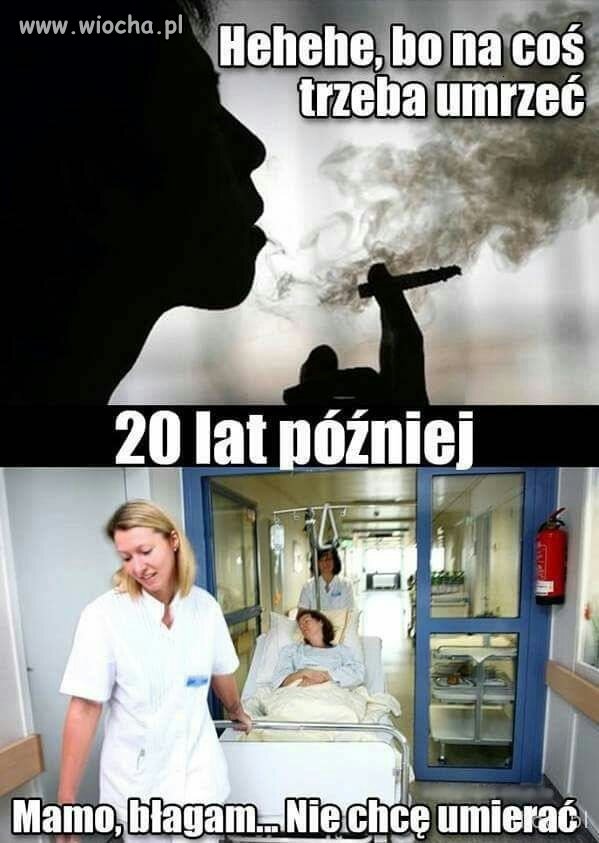 Logika palaczy